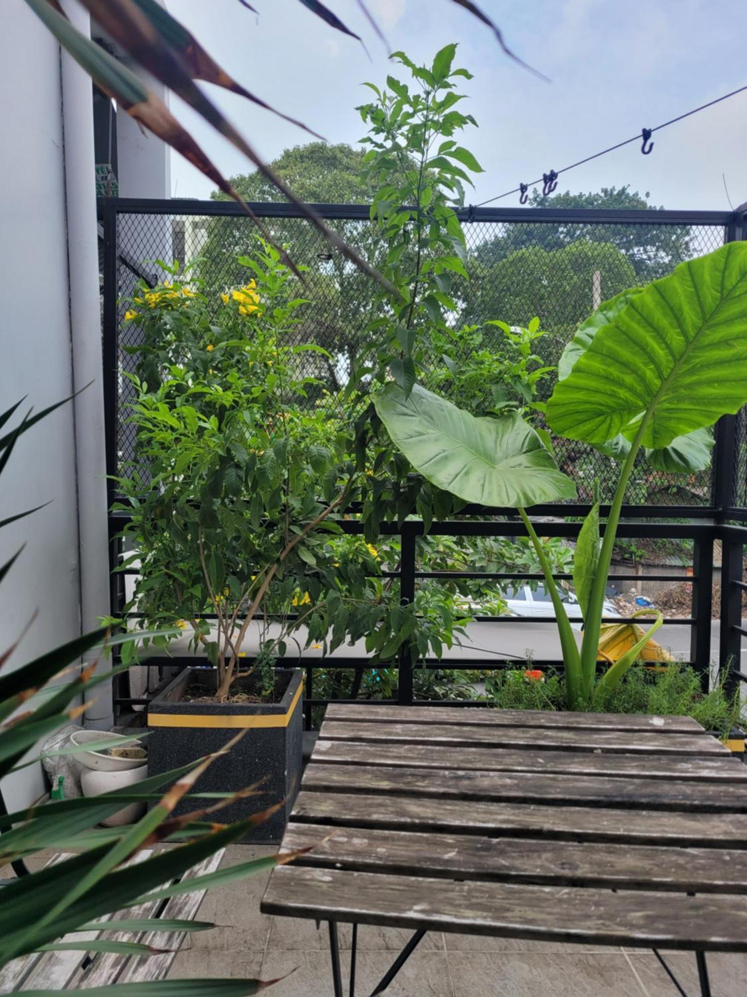 Agk House - - 406 Xo Viet Nghe Tinh, P25, Binh Thanh, Gan Nga 4 Hang Xanh Bed & Breakfast